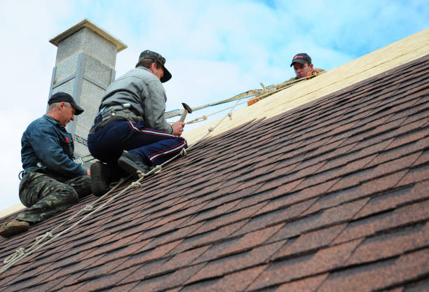 Roof Gutter Cleaning in Union City, OK